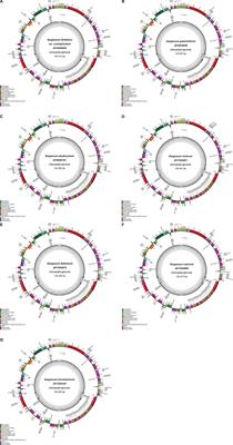 The Complete Plastid Genomes of Seven Sargassaceae Species and Their Phylogenetic Analysis